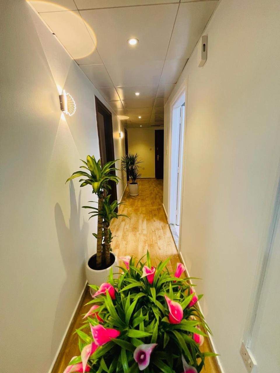 Apartamento Falcon *